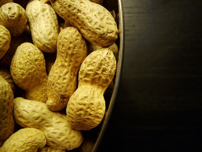 Erdnussallergie erklärt: Symptome & Behandlung - YAZIO