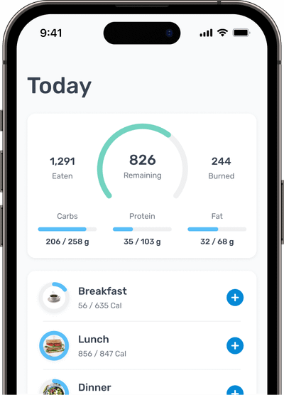Calorie Counter Calorie Counter