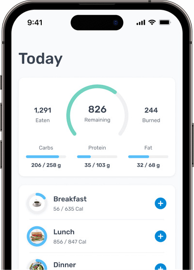 Calorie Counter