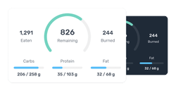 Calorie Counter Calorie Counter