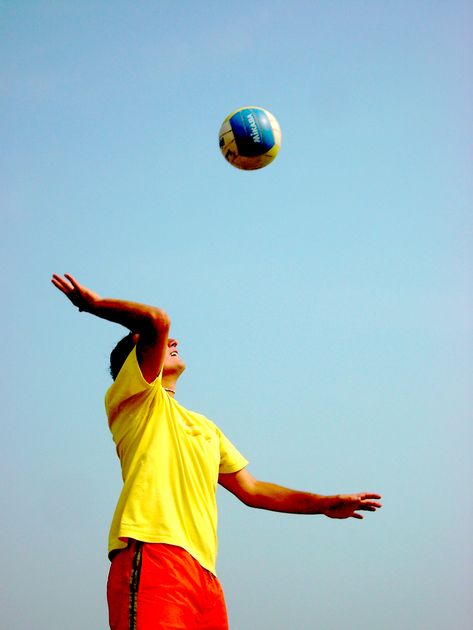 Volleyball Kalorienverbrauch & beanspruchte Muskeln YAZIO